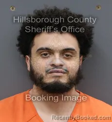 Mugshot of DAVID MATTHEW BASULTO