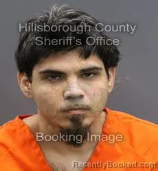 Mugshot of YASEEN NABIL EL-NOURSI