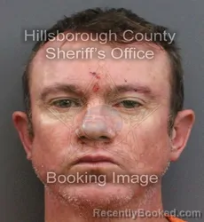 Mugshot of RYAN MICHAEL SCHREIER