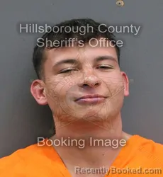 Mugshot of CRISTIAN BRITO GONZALEZ