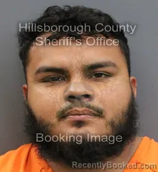 Mugshot of ORLANDO JAVIER VARELA