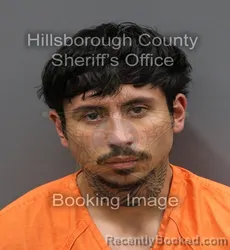 Mugshot of ALEX ZUMBADO