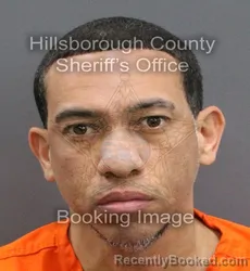 Mugshot of RAUL ANTONIO ALVAREZ