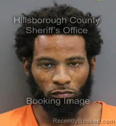 Mugshot of TERRY TYRONE JR BRISTOL