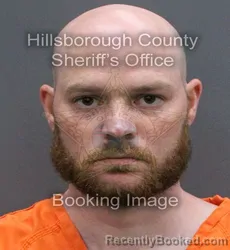 Mugshot of ANDREW DAVID WILSON