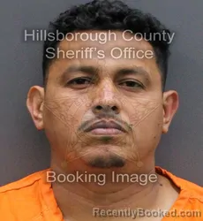 Mugshot of NELSON ARMANDO MELGAR