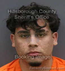 Mugshot of YORDANYS RAMIREZ MARRERO