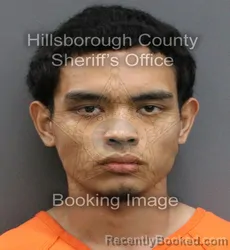 Mugshot of CALIXTO GABRIEL ANAYA