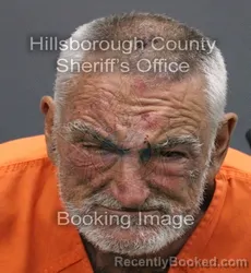 Mugshot of JAMES DAVID LEES