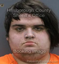 Mugshot of TRISTEN JULIAN ROSS