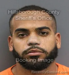 Mugshot of GREGORY MEDINA