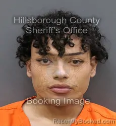 Mugshot of MAURICIO ALEJANDRO TORO