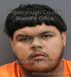 Mugshot of JULIAN ALEJANDRO DAVONT ESPARZA