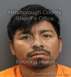 Mugshot of MARIO DIAZ HERNANDEZ