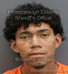 Mugshot of DONALD ARIEL BARDALES FORTIN