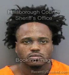 Mugshot of RENALDO REJOUIS