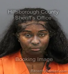 Mugshot of JEMEIA CAROL HOLLOWAY