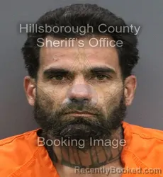 Mugshot of DAVID HAJIPOUR
