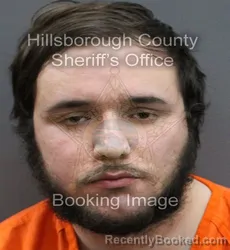 Mugshot of DYLAN OBRIAN LETSCHE