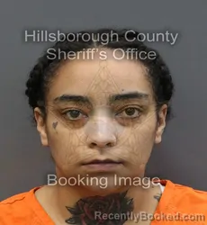 Booking photo from Hillsborough County, Florida