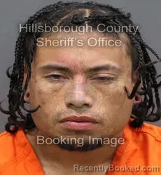 Mugshot of MARCUS ANTHONY TERHUNE