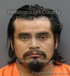 Mugshot of ELI RAMIREZ-VELASQUEZ