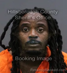 Mugshot of CEDLER SIFRALIEN