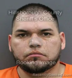 Mugshot of MARIO ALFREDO MENA HERNANDEZ