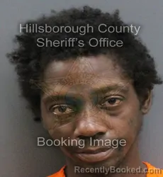 Mugshot of CLENNIE LEE PIERCE