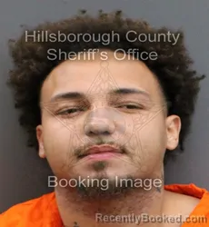 Mugshot of CAMERON VALLEY