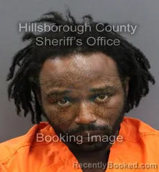 Mugshot of PRINCETON N ALLISON