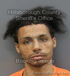 Mugshot of JAMES EUGENE FELTER