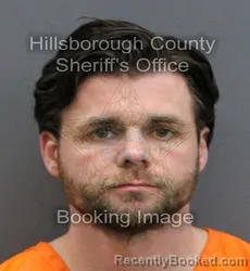 Mugshot of DOMENIC DAY