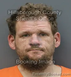 Mugshot of PATRICK MARSHALL WIGGINS