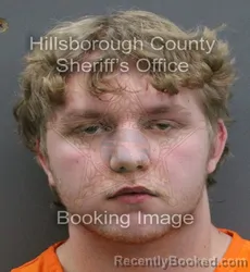 Mugshot of JAMES KAYSON LAWLEY