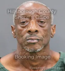 Mugshot of EMMETT JAMES WELLS