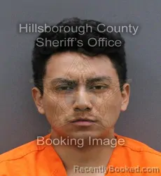 Mugshot of MARIO HERNANDEZ GOMEZ