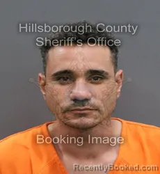 Mugshot of EDGAR WILKER MENDES SILVA