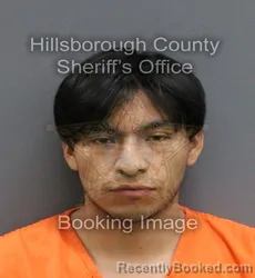 Mugshot of MIGUEL HERNANDEZ SHILON