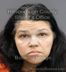 Mugshot of DENIA ORTIZ