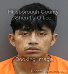 Mugshot of LUIS MIGUEL LOPEZ LOPEZ