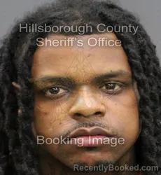 Mugshot of CAMERON D ANGELO YORK