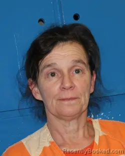 Mugshot of BRIDGETT RENEE WILCOXEN