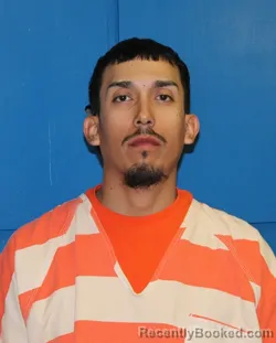 Mugshot of IRVING CASTANEDA-FRAIRE