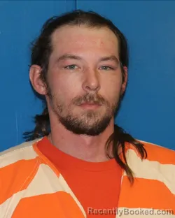 Mugshot of RYAN G DALE GANN