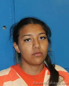Mugshot of Roslynn Nicole Landeros booked in Eastland County, Texas on August 18, 2026