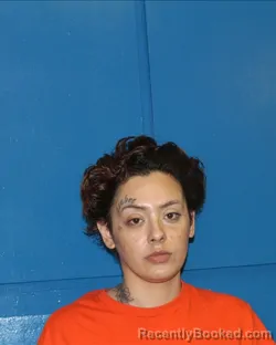 Mugshot of BRITTNI ELIZABETH GARCIA