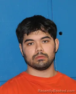 Mugshot of JAIR EDUARDO MEXIA-FIGUEROA