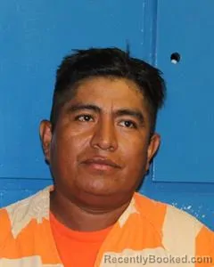 Mugshot of Marco Tulio Fernandez Sajpun-Pelico booked in Eastland County, Texas on August 24, 2026