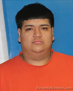 Mugshot of ALVARO CASTILLO BARCENAS